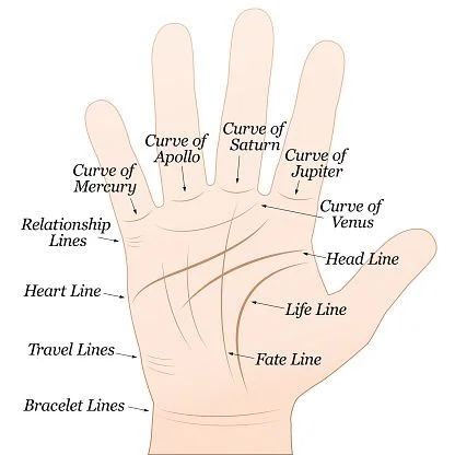 Palmistry Hand Types
