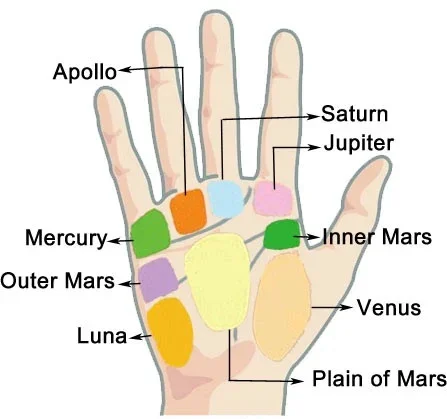 Palmistry Lines